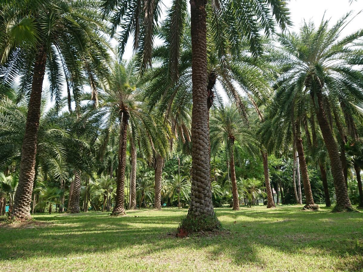 Lopburi Palm Resort Exterior foto